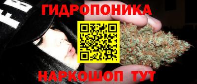 spice Лесосибирск