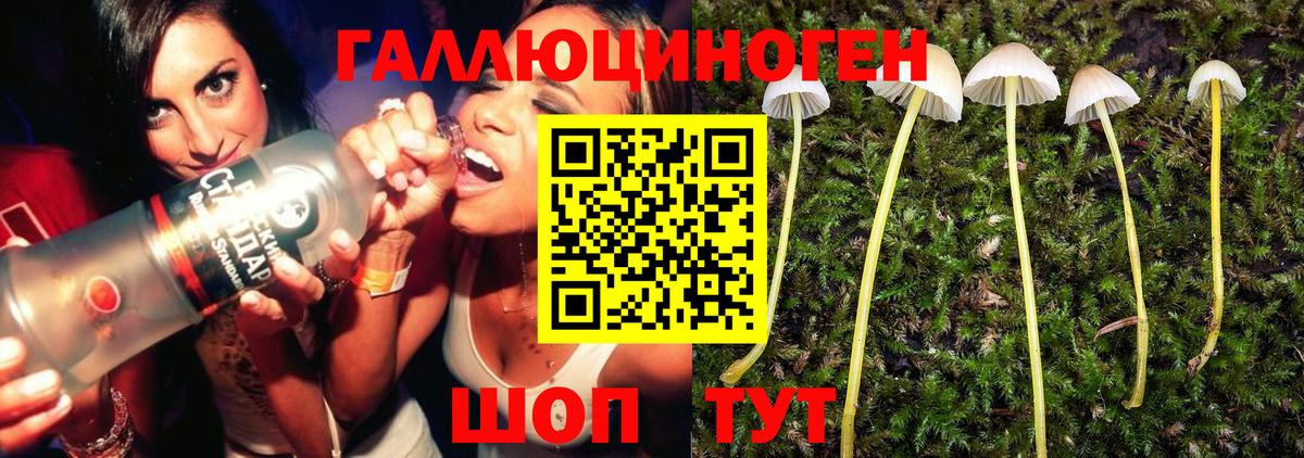 Галлюциногенные грибы GOLDEN TEACHER Десногорск
