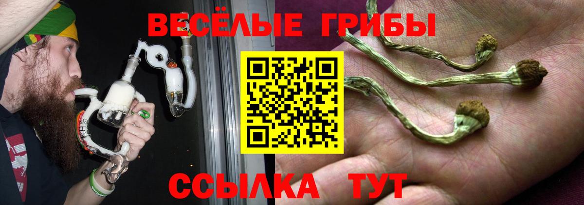 дарнет шоп  Псилоцибиновые грибы мицелий  Вход с VPN  Десногорск 